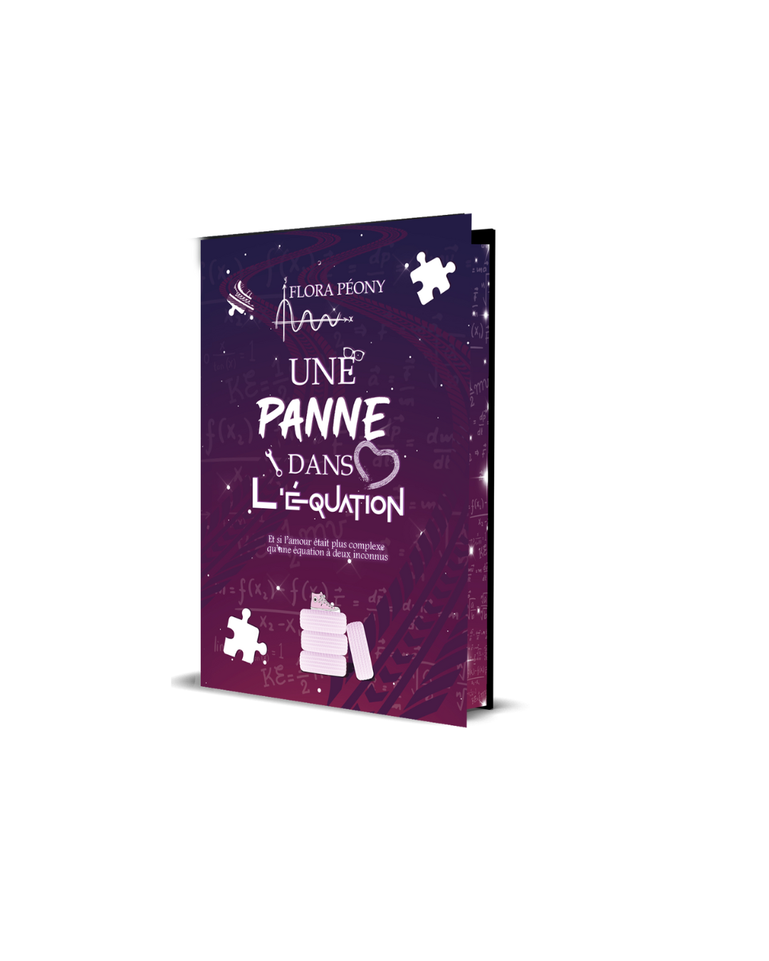 Une Panne dans L'équation Relié